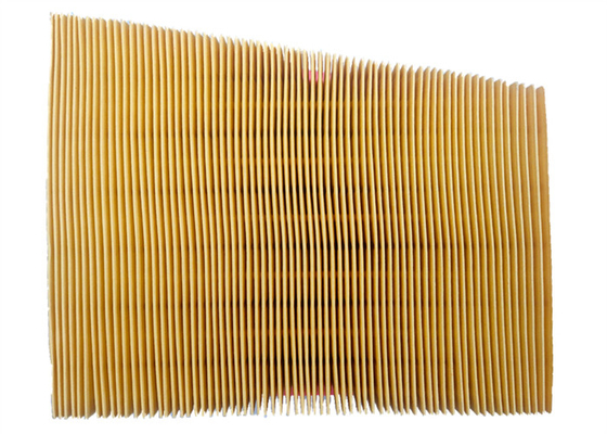 Pp.-Einspritzungs-nicht Gewebes-Automobil-Luftfilter 165468296R 16546-8296R für Re-nault Truck